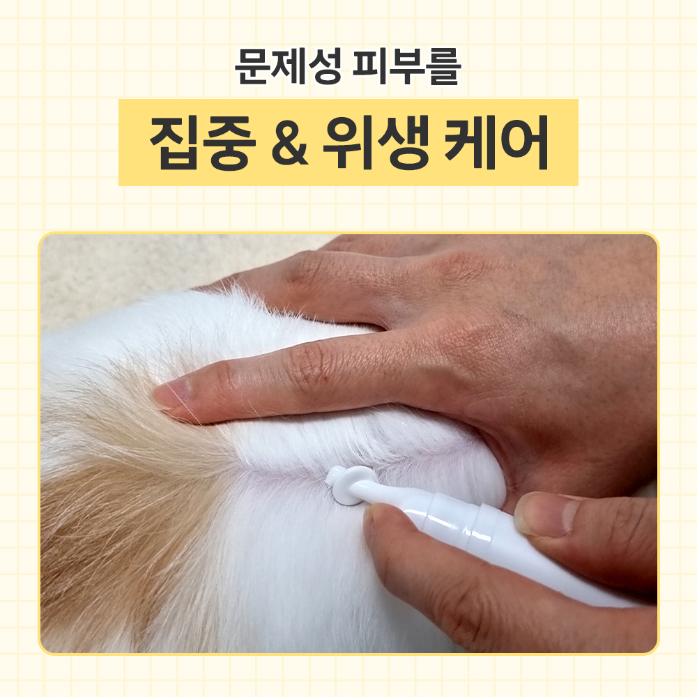 강아지 피부 고민, 집에서 쉽게 해결하는 방법 알려드릴게요!