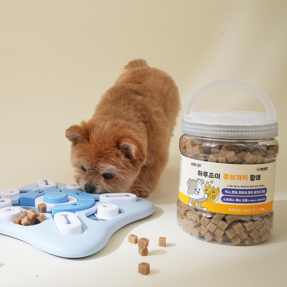 우리 강아지에게 딱 맞는 간식, 노즈워크 트릿으로 훈련도 즐겁게!