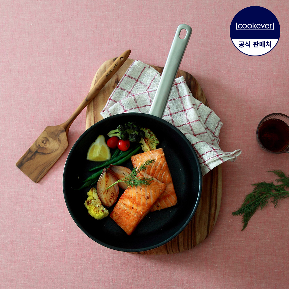 가정에서도 딱 좋은 20cm 인덕션용 스텐 프라이팬 추천