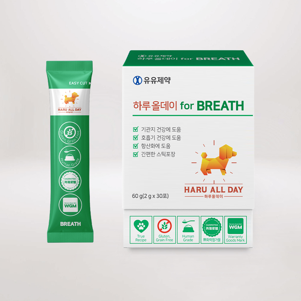 반려견 건강을 위한 기관지 영양제, 이렇게 선택하세요!