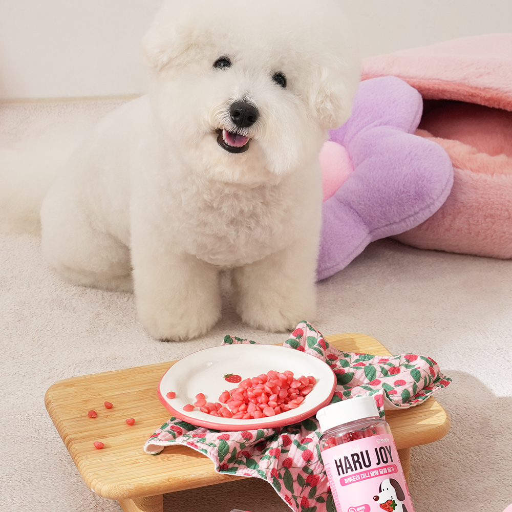 우리 강아지 건강을 위한 저칼로리 간식, 노즈워크와 훈련에 딱 좋아요!