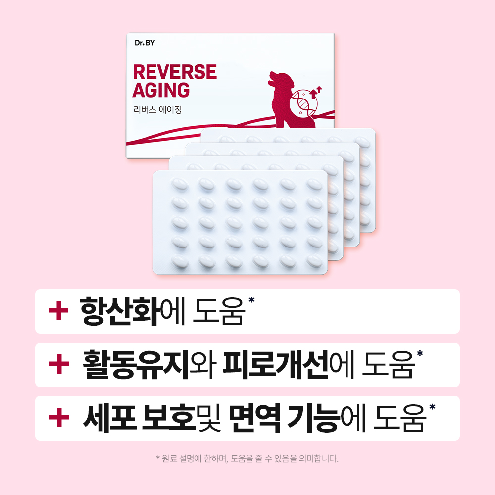강아지 건강을 위한 자연스럽고 효과적인 노화 방지 영양제 추천