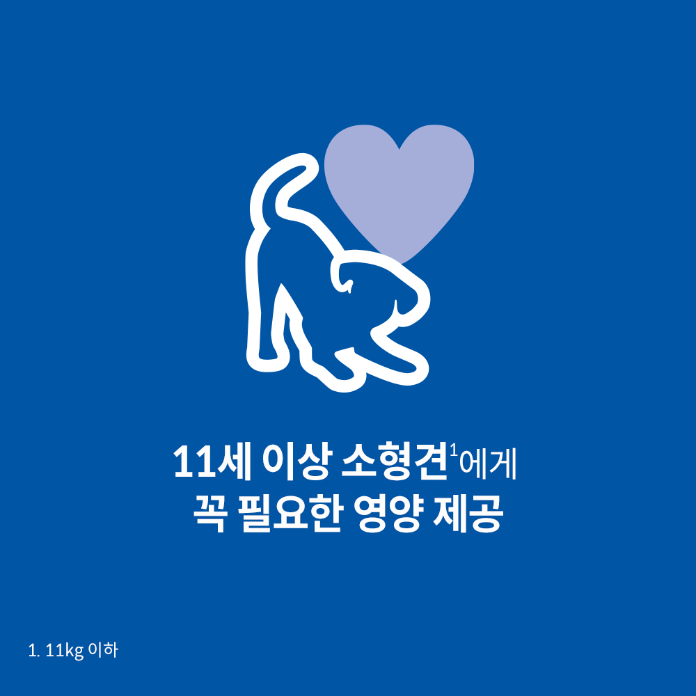강아지에게 딱 맞는 사료, 힐스 어덜트 11+ 스몰 앤 미니 2kg로 건강 챙기기