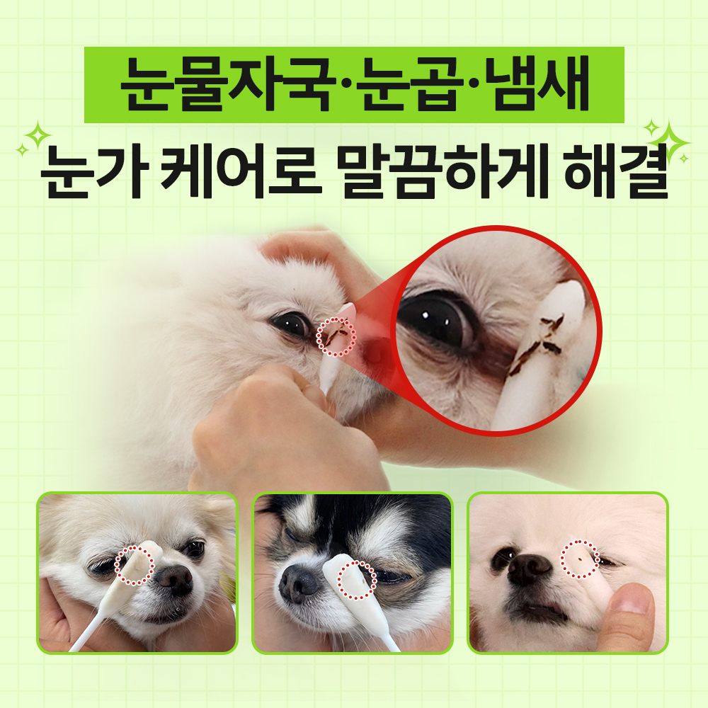 강아지 눈물 자국 걱정 끝! 집에서도 쉽게 눈 세정하는 방법