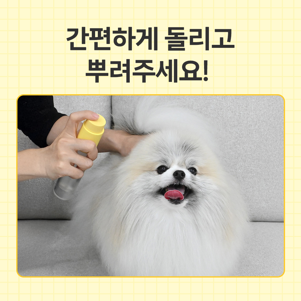강아지 피부와 털 건강을 위한 세럼 미스트, 이렇게 써보세요!