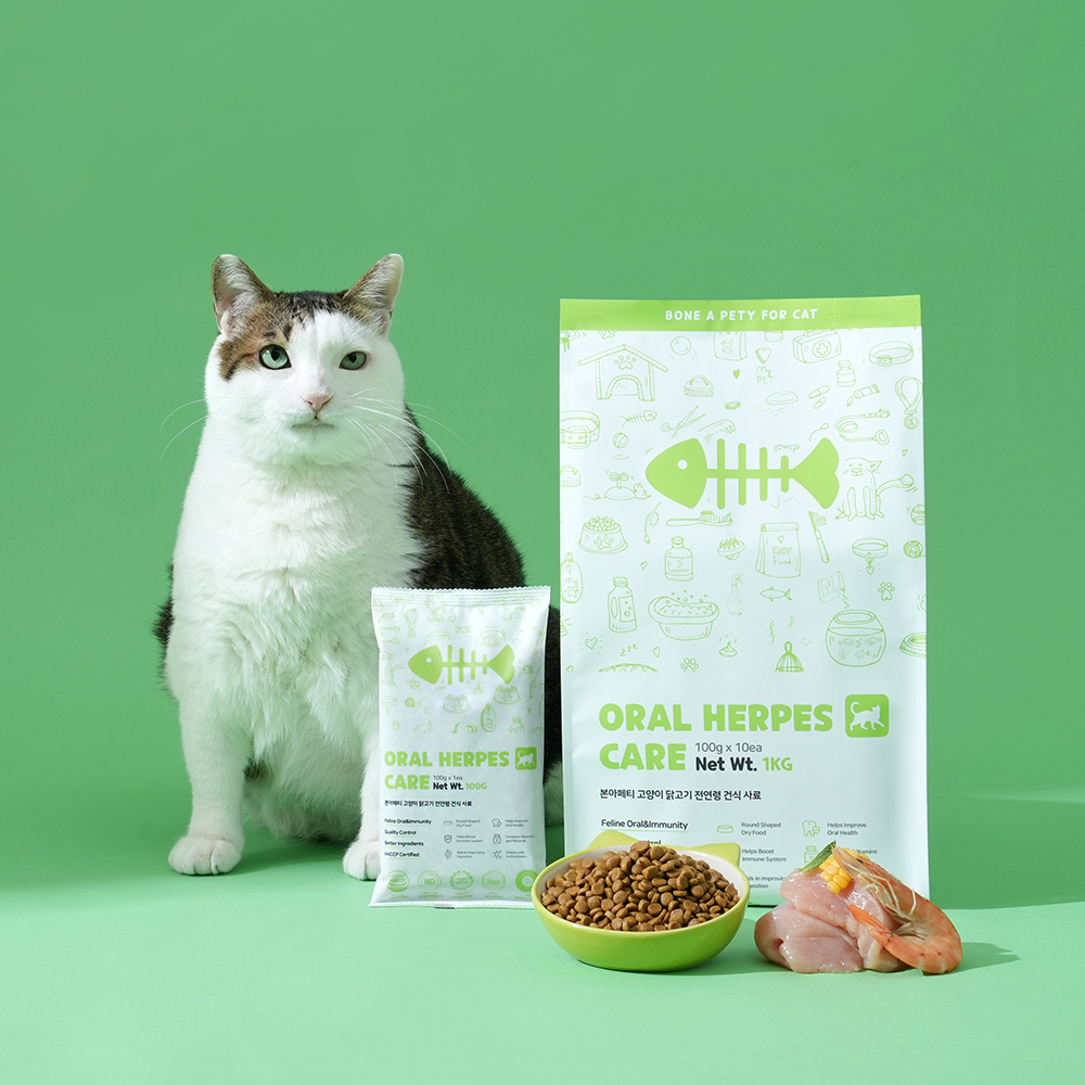 고양이 구내염과 허피스 걱정 끝! 구강 건강을 위한 추천 사료