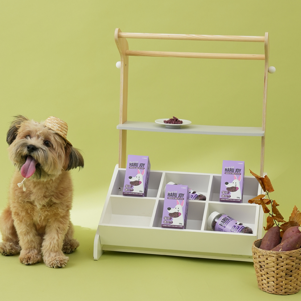 다이어트 중인 강아지에게 딱인 저칼로리 간식 추천!