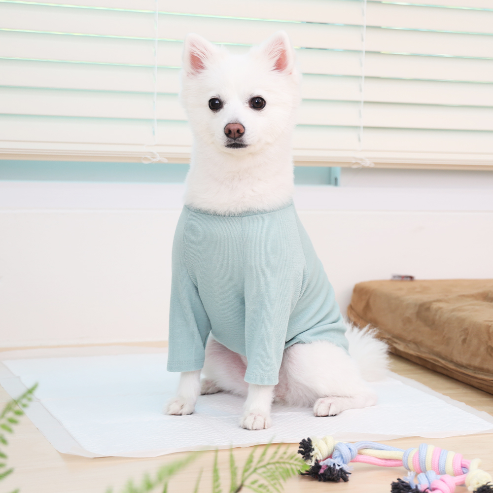 강아지 배변패드, 집에서도 쉽게 사용할 수 있는 추천 제품 소개