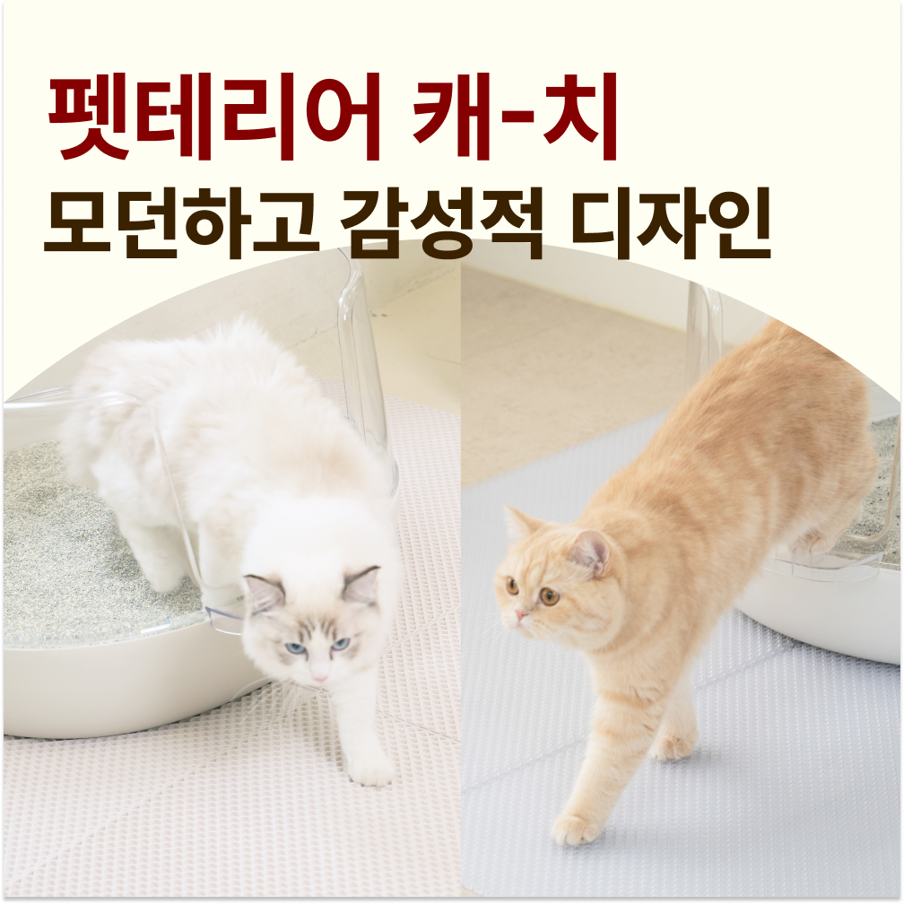 고양이 화장실 청소를 더 쉽고 깔끔하게! 대형 모래 매트 추천