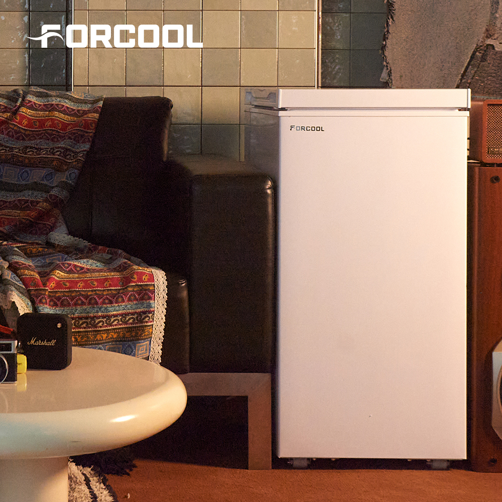 작고 슬림한 냉동고로 냉장고 공간을 효율적으로 활용하세요!