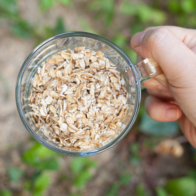 집에서 간편하게 즐기는 유기농 통 귀리, 건강한 아침을 시작하세요!