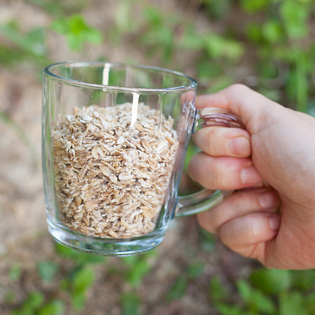 집에서 간편하게 즐기는 유기농 납작귀리 오트밀, 건강한 한 끼를 위한 선택