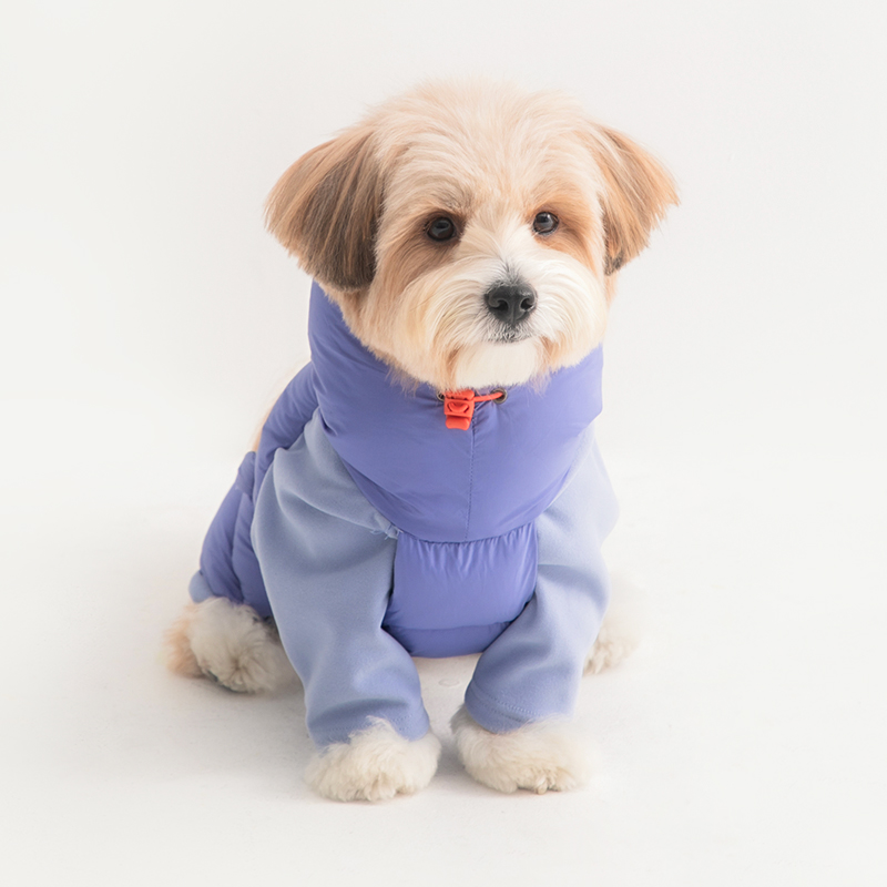 포근한 겨울 강아지 옷, 따뜻하게 입혀보세요!