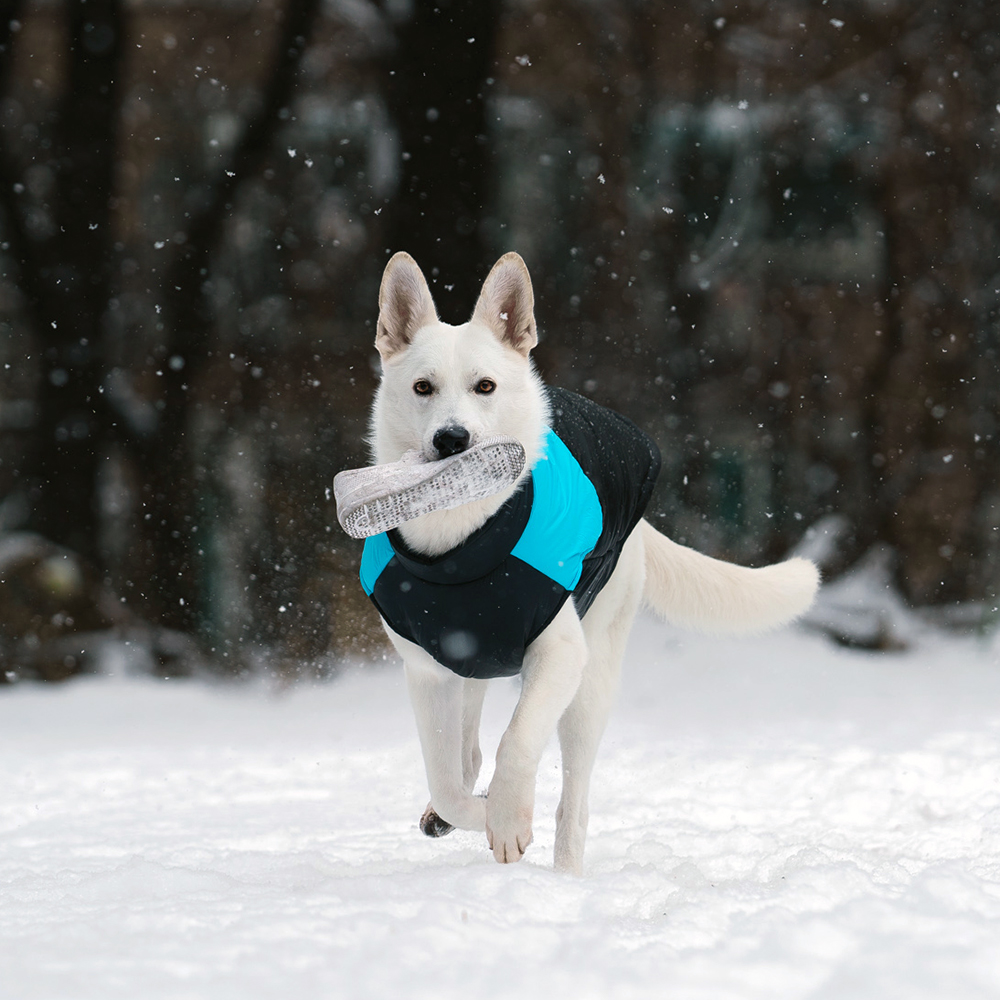 큰 강아지용 따뜻한 패딩 조끼, 가볍고 편안하게 입혀보세요!
