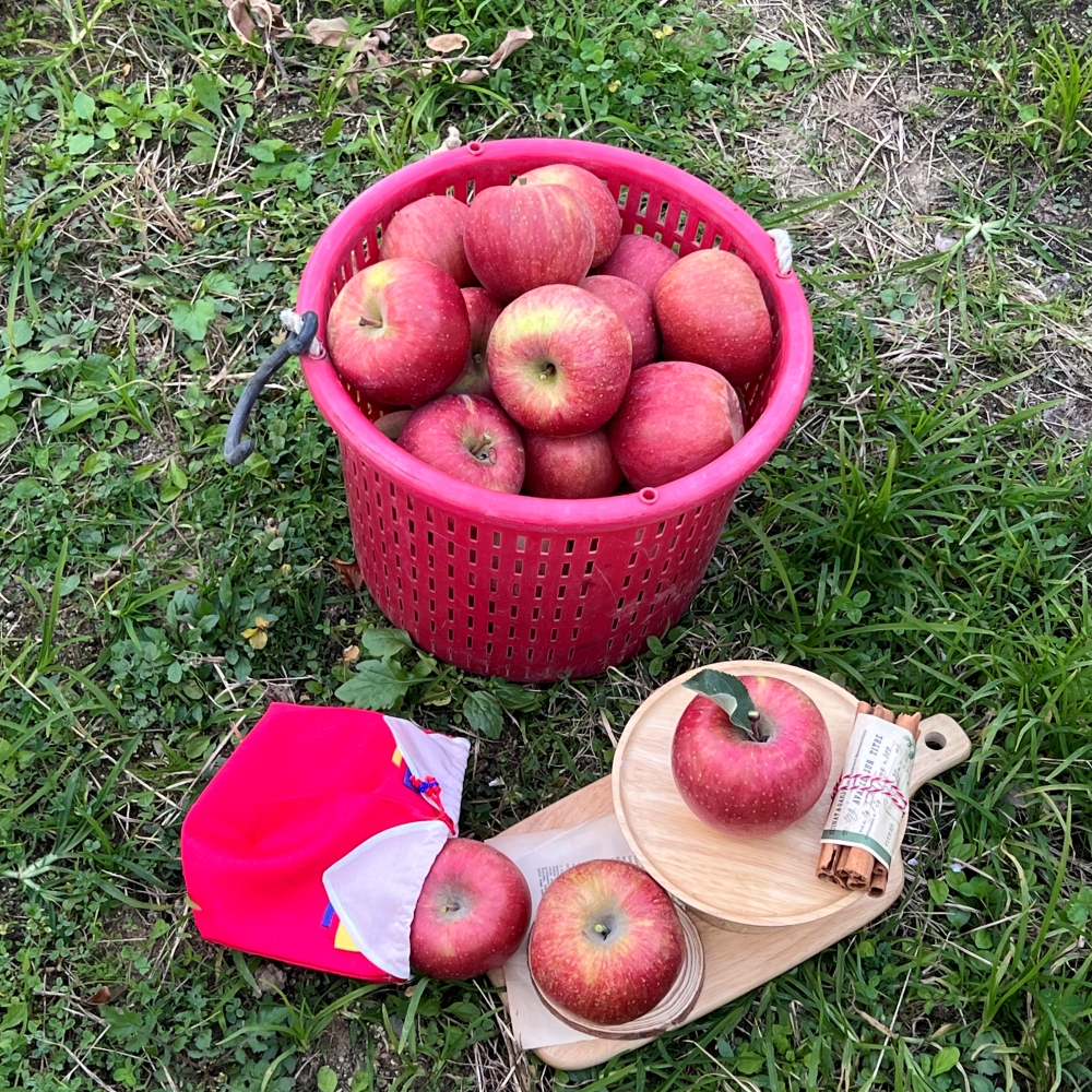 달콤하고 신선한 안동사과, 지금 바로 만나보세요!