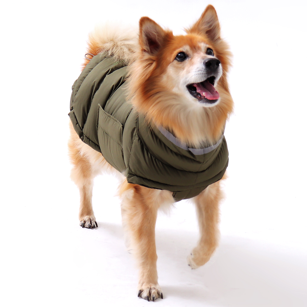 따뜻하고 귀여운 강아지 패딩 조끼, 우리 강아지에게 딱 맞는 겨울 옷 찾기