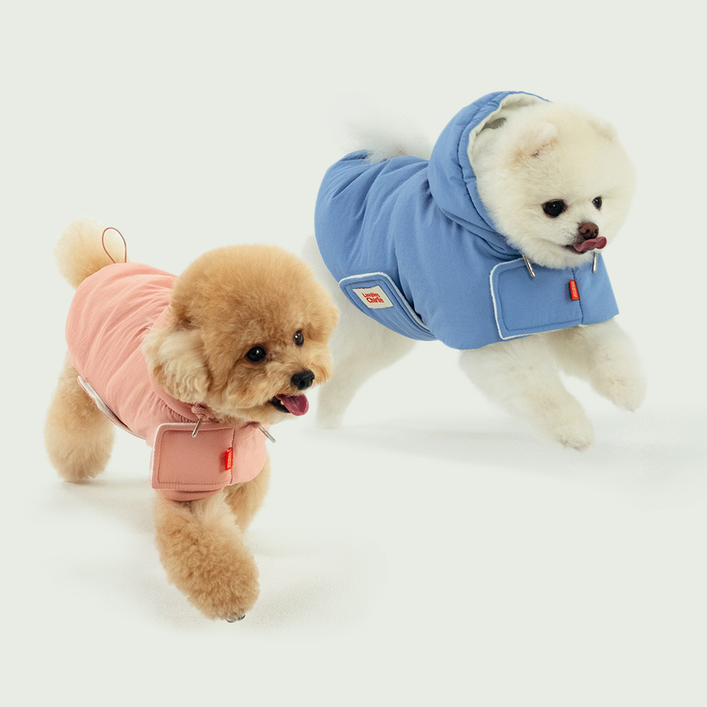 포근한 겨울 강아지 옷, 따뜻하게 입히는 방법 알려드릴게요!