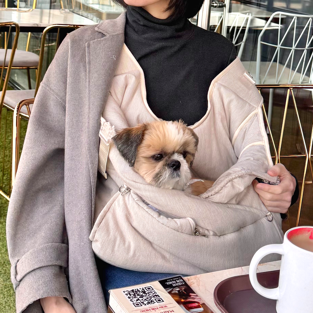 강아지와 함께하는 산책이 더 편해지는 이동가방 추천