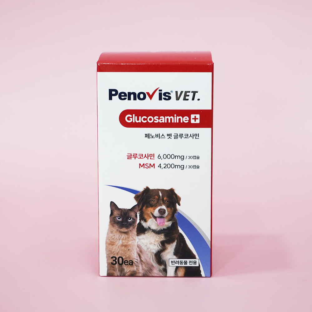 반려견과 고양이 건강을 위한 관절 영양제, 이렇게 선택하세요!