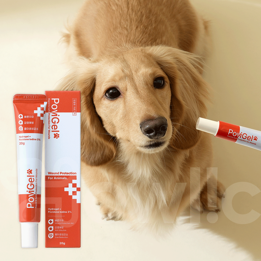 반려동물 피부 고민, 쉽게 해결하는 방법 알려드릴게요!