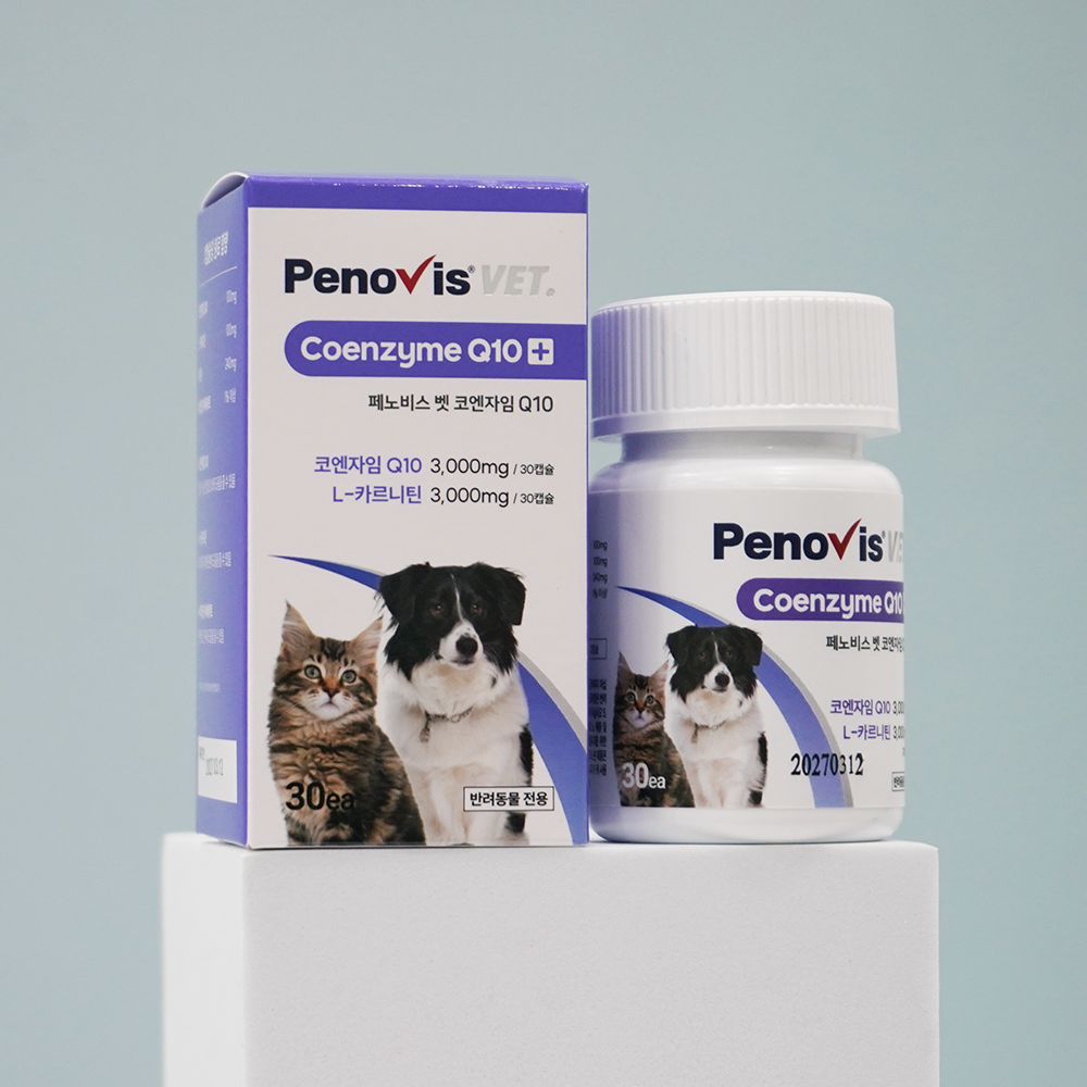 반려견과 고양이 건강을 위한 영양제, 이렇게 선택하세요!