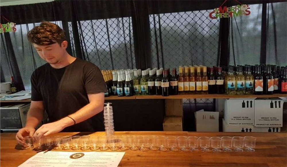 시드니에서 즐기는 포트스테판 하루 여행, 돌핀크루즈와 와이너리까지 함께!