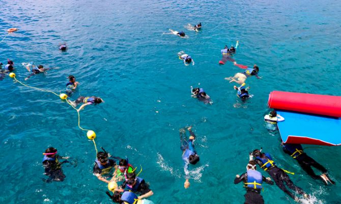 괌에서 즐기는 돌핀크루즈 체험! 돌고래와 함께하는 특별한 하루
