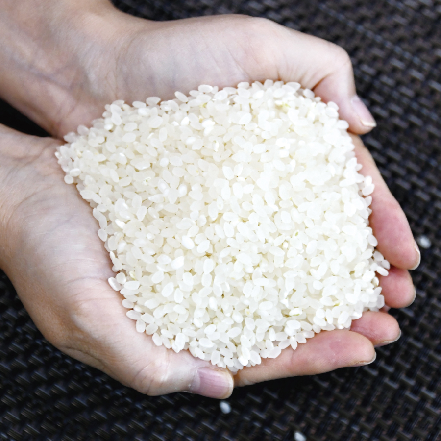 2025년 신선한 햅쌀, 첫 수확 쌀로 맛과 건강 챙기기!