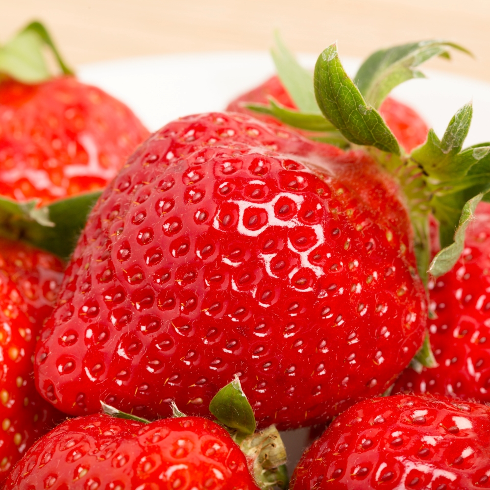 달콤한 담양 딸기, 홍희 프리미엄 고당도 맛보기