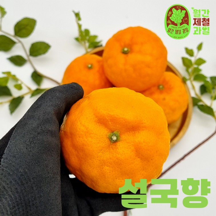 신선한 만다린과 하귤, 집에서 간편하게 즐기기 좋은 과일 추천