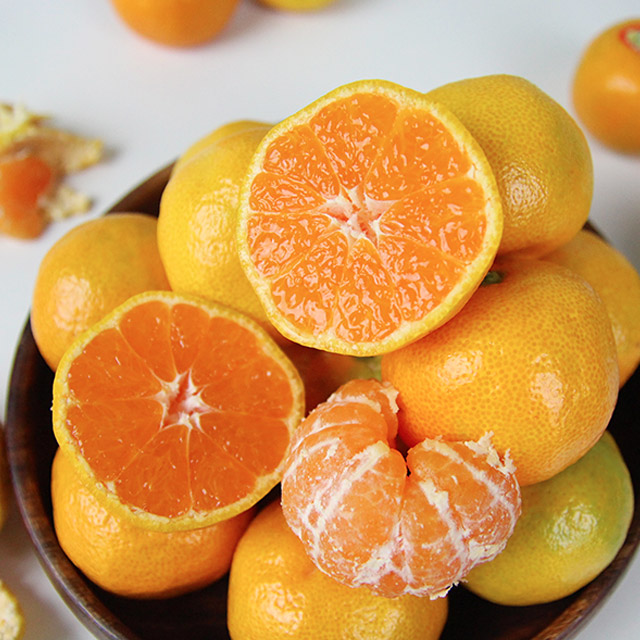 제주 감귤 맛있게 즐기기! 달콤한 과일 선물 추천