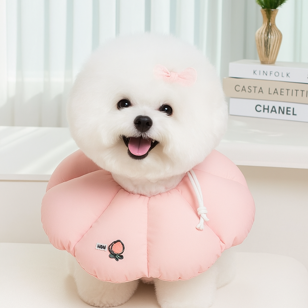 반려동물 넥카라, 이렇게 선택하면 좋아요! 강아지와 고양이 모두 안전하게 보호하는 방법