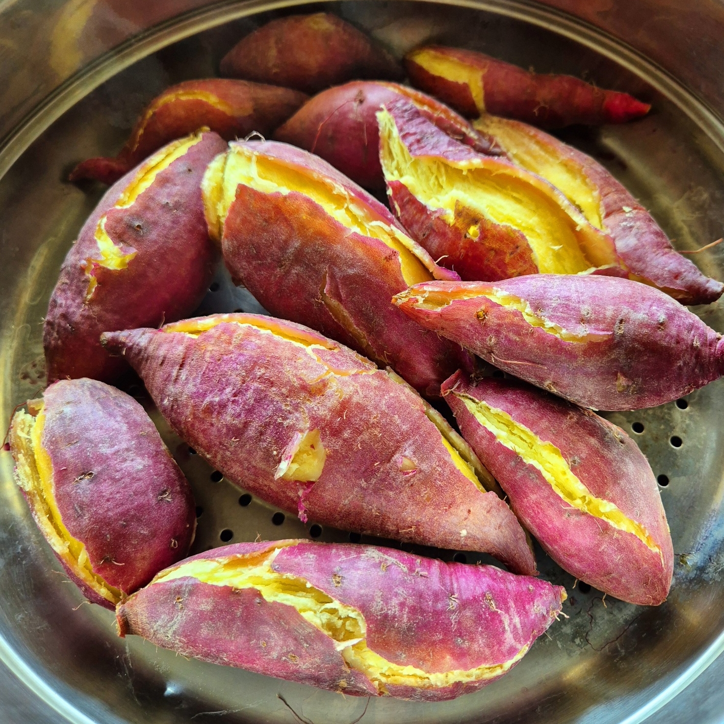 익산에서 만나는 달콤한 밤고구마, 신선하고 저렴하게 즐기기