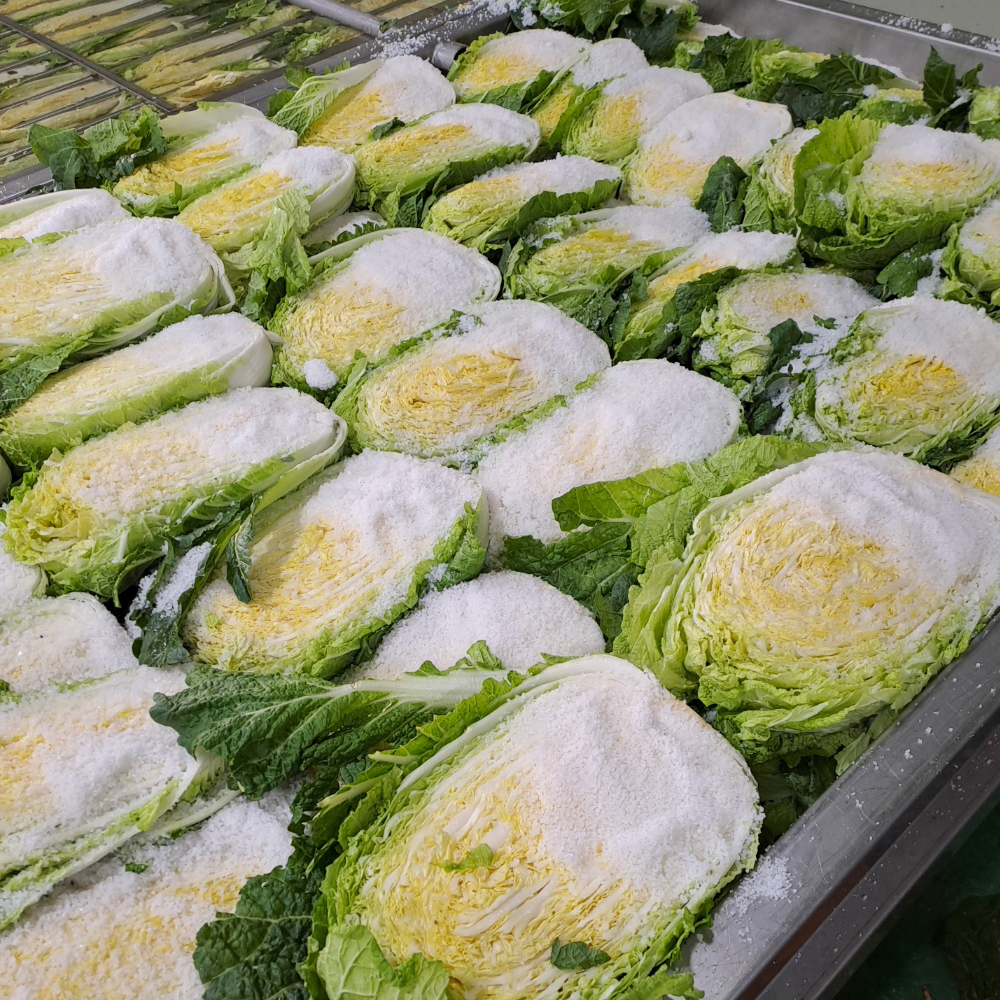 친근하게 다가가는 절임배추 이야기, 지금 바로 알아보세요!