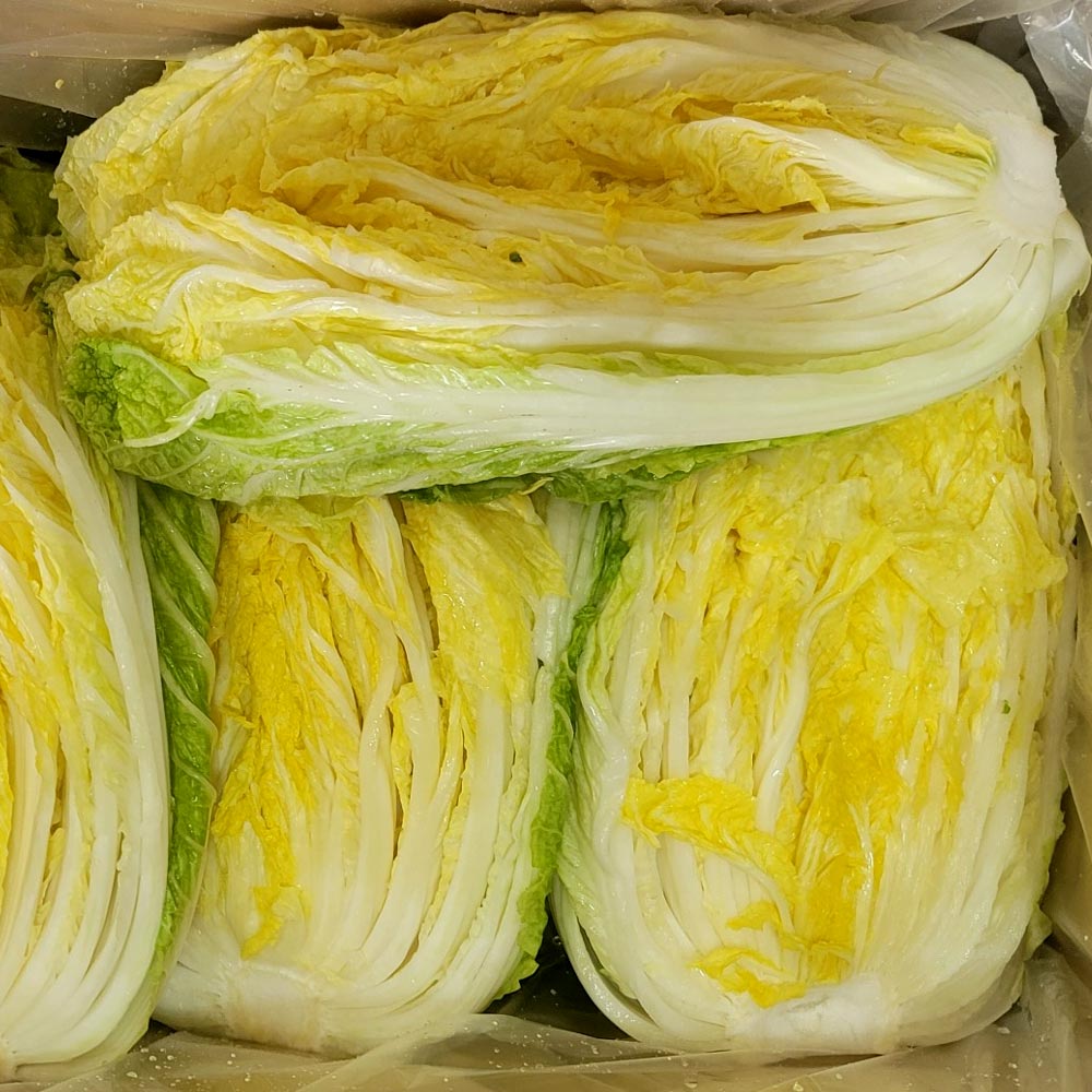 친근하게 즐기는 전라도 해남의 절임배추, 김장철 필수템!