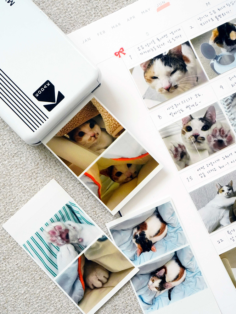 일상 속에서 유용하게 쓰는 대형 월간 플래너, 리훈 오픈뷰 먼슬리다이어리