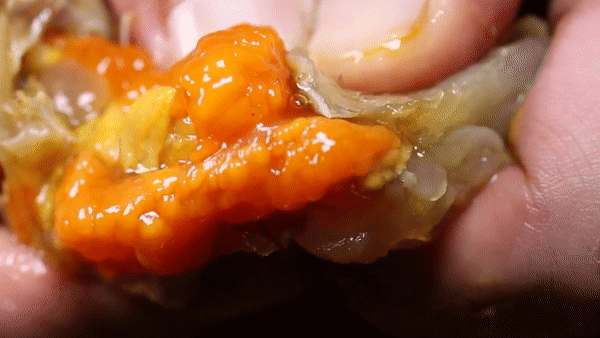 오랜 전통의 인천 게장 맛집, 삼대가 사랑하는 게장 맛보기