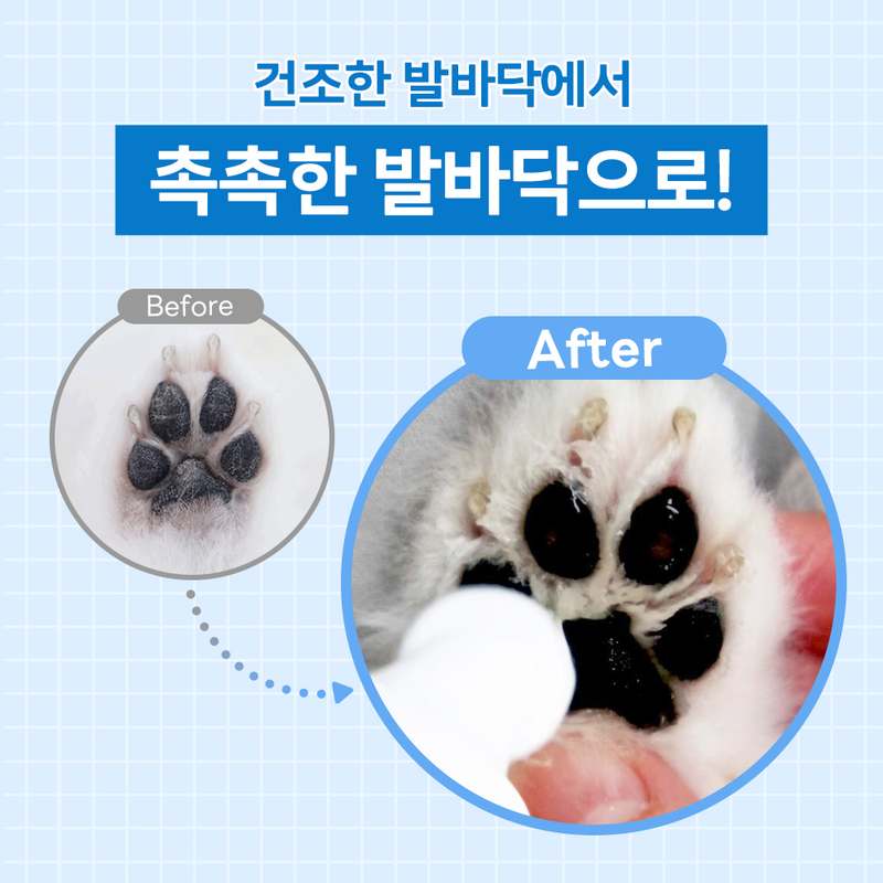 강아지 발바닥 피부를 촉촉하게! 집에서 간편하게 사용하는 발 보습제 추천