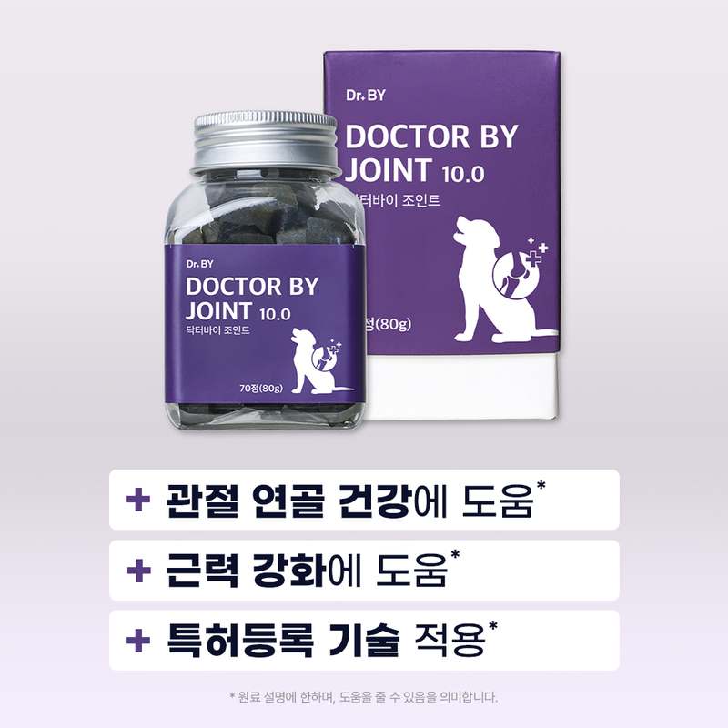 강아지 관절 건강, 이렇게 챙기면 좋아요! 친근한 관절 영양제 추천