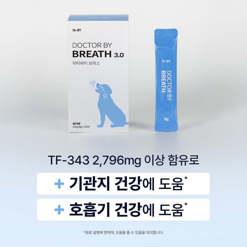 강아지 기관지 건강을 위한 영양제, 이렇게 선택하세요!