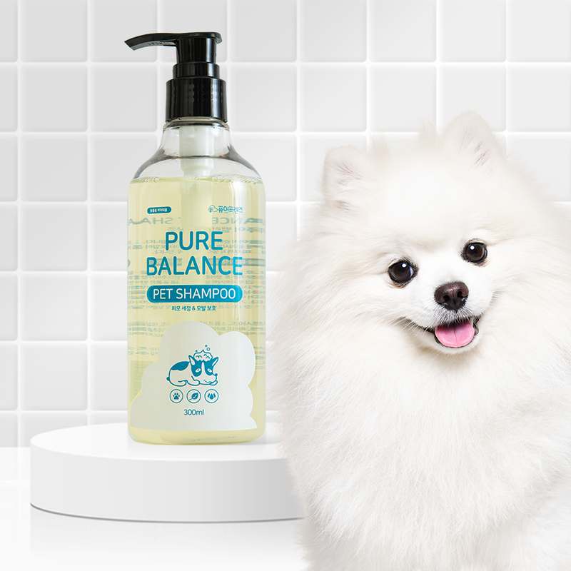 반려동물 피부와 냄새 걱정 끝! 집에서 쉽게 쓰는 강아지샴푸 추천