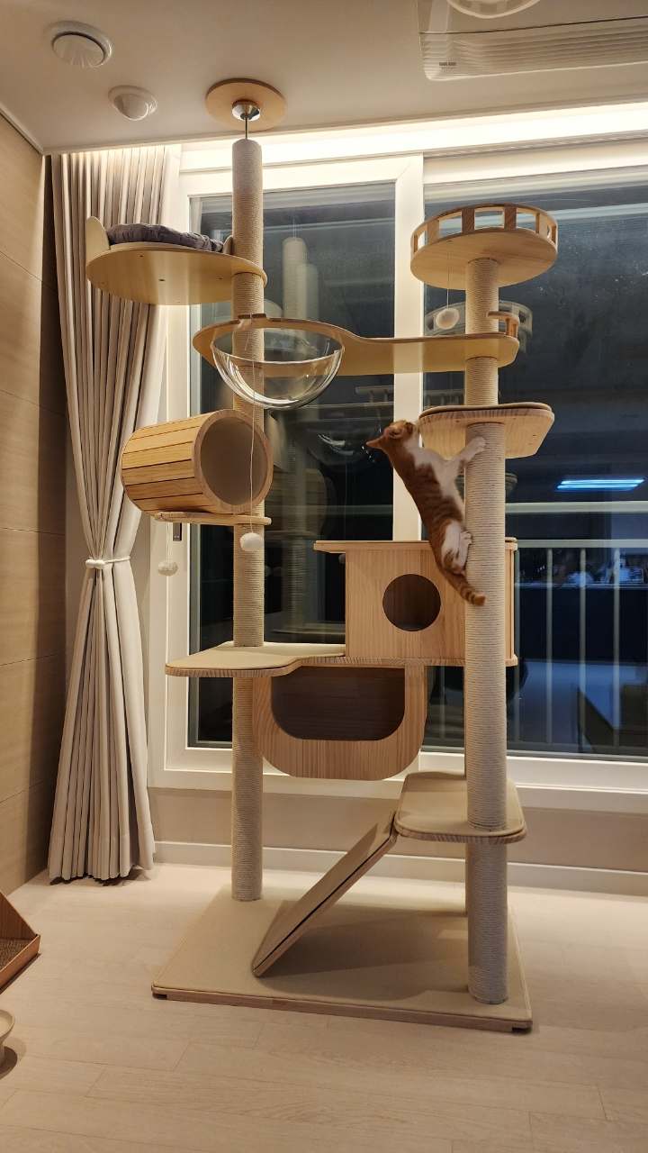 집에서 즐기는 고양이의 휴식 공간! 원목 캣폴 갤럭시캣타워 소개