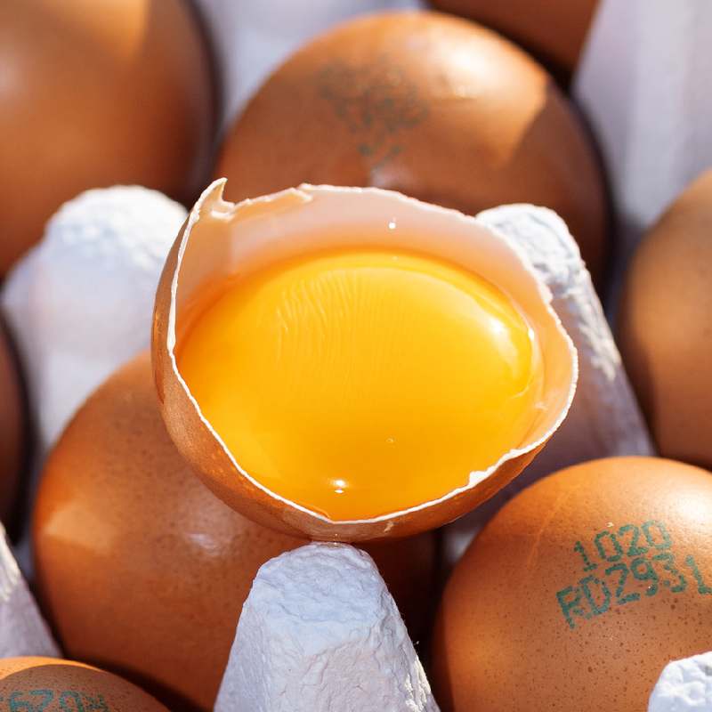자연에서 온 신선한 계란, 유정란 20개 한 상자 어떠세요?