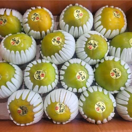 달콤하고 신선한 태추단감과 햇 배, 대추까지 한 번에 즐기기 좋은 과일 세트