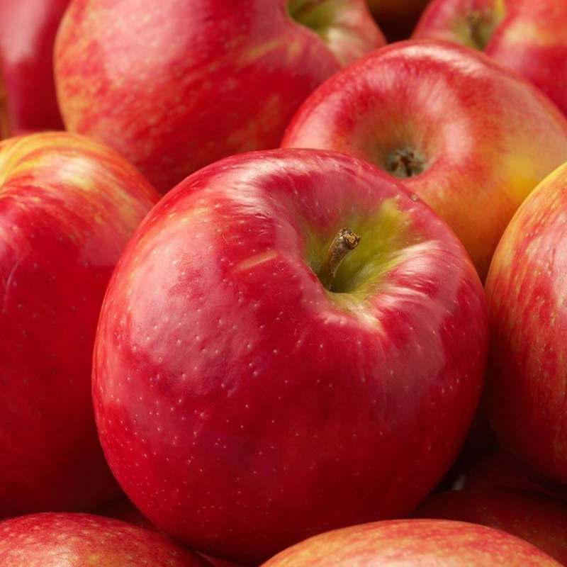 신선한 햇사과 한입, 경북 청송과 안동에서 직송하는 달콤한 맛