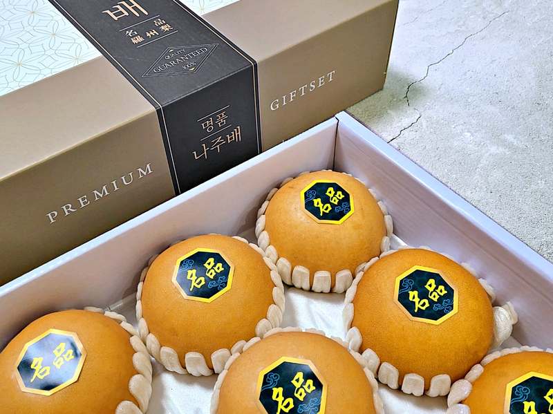 명절 선물로 딱 좋은 나주배 5kg과 7.5kg 세트, 부담 없이 고르세요!