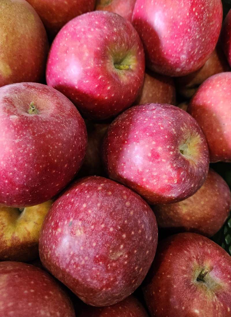 달콤하고 싱그러운 사과 선물, 집에서도 쉽게 즐기세요!