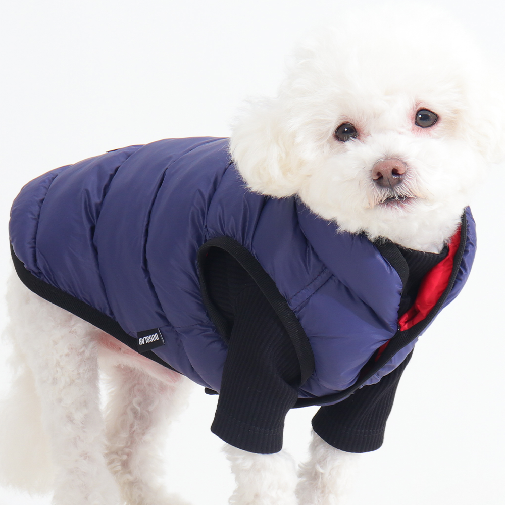 강아지 겨울 옷, 가볍고 따뜻하게 입히는 방법 알려드릴게요!