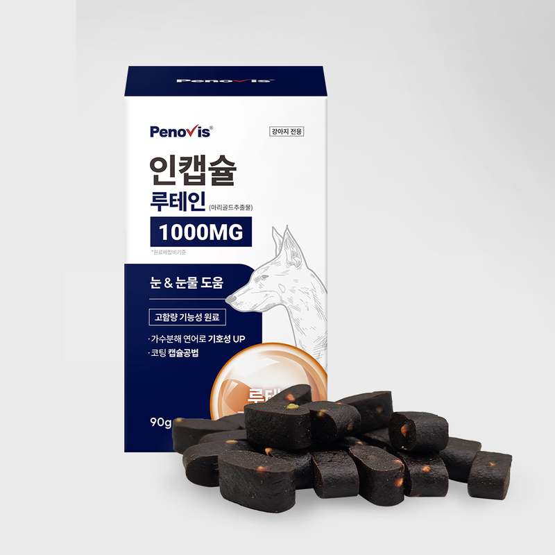 강아지 눈 건강을 위한 영양제, 이제 걱정 끝!