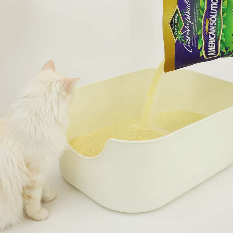 편하게 쓰는 고양이 모래, 브라질산 카사바로 만든 먼지 없는 제품 추천!